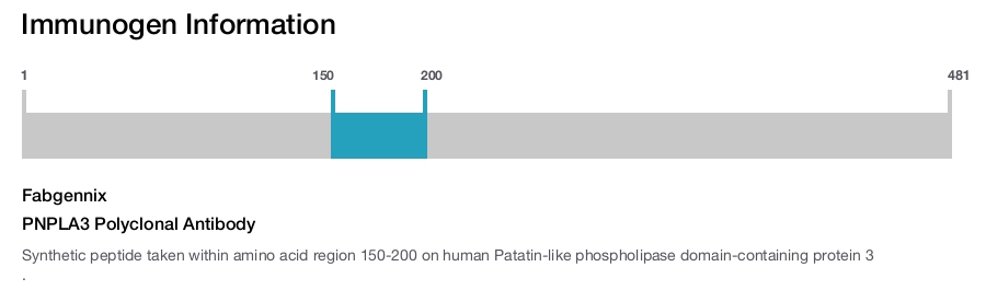 PNPLA3 Polyclonal Antibody