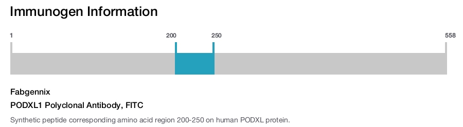 PODXL1 Polyclonal Antibody, FITC