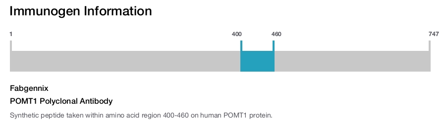 POMT1 Polyclonal Antibody