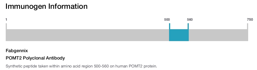 POMT2 Polyclonal Antibody