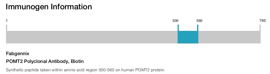 POMT2 Polyclonal Antibody, Biotin