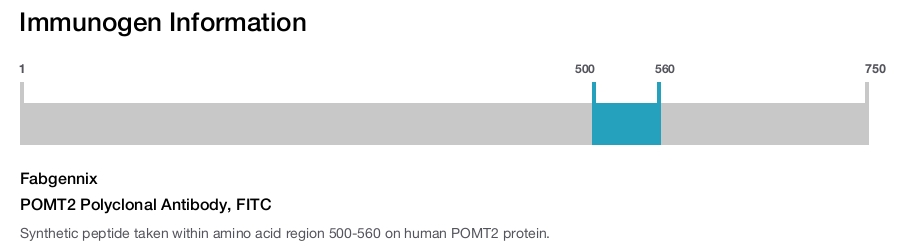 POMT2 Polyclonal Antibody, FITC