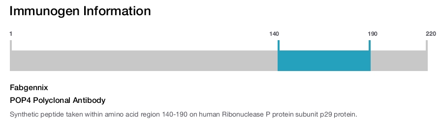 POP4 Polyclonal Antibody