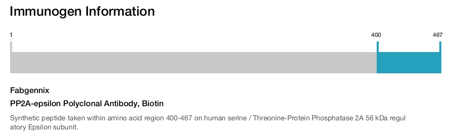 PP2A-epsilon Polyclonal Antibody, Biotin