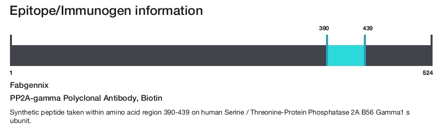PP2A-gamma Polyclonal Antibody, Biotin