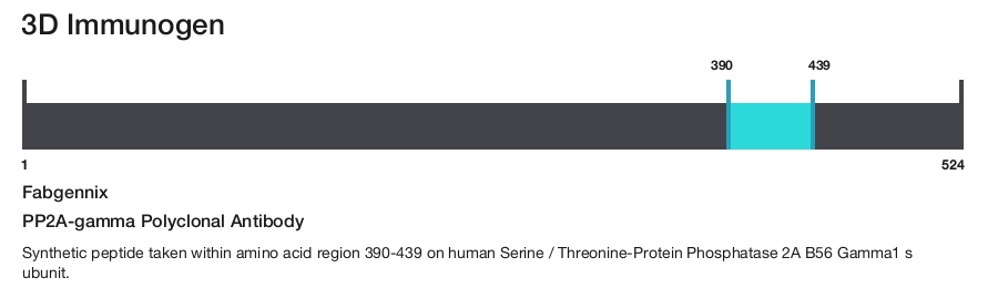 PP2A-gamma Polyclonal Antibody