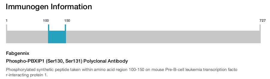 Phospho-PBXIP1 (Ser130, Ser131) Polyclonal Antibody