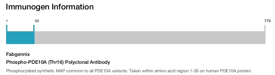 Phospho-PDE10A (Thr16) Polyclonal Antibody