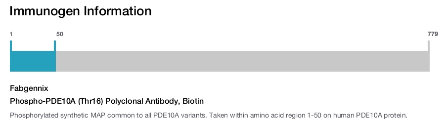 Phospho-PDE10A (Thr16) Polyclonal Antibody, Biotin