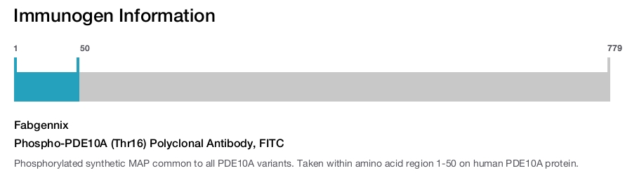 Phospho-PDE10A (Thr16) Polyclonal Antibody, FITC