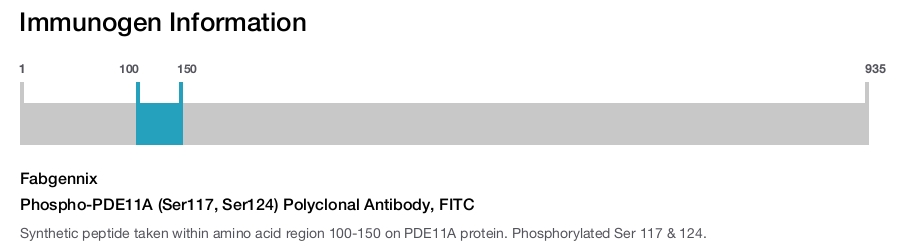 Phospho-PDE11A (Ser117, Ser124) Polyclonal Antibody, FITC