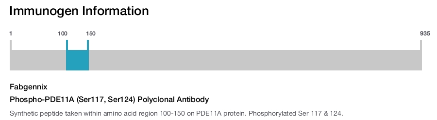Phospho-PDE11A (Ser117, Ser124) Polyclonal Antibody