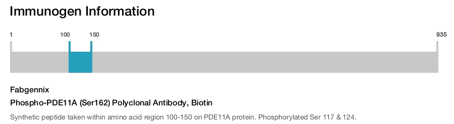 Phospho-PDE11A (Ser162) Polyclonal Antibody, Biotin