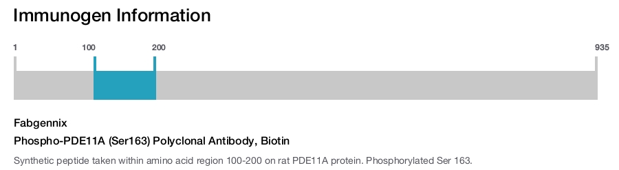 Phospho-PDE11A (Ser163) Polyclonal Antibody, Biotin
