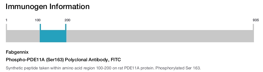 Phospho-PDE11A (Ser163) Polyclonal Antibody, FITC