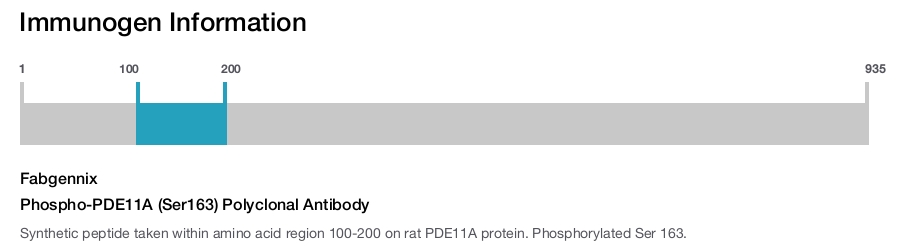 Phospho-PDE11A (Ser163) Polyclonal Antibody