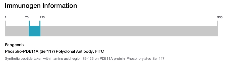 Phospho-PDE11A (Ser117) Polyclonal Antibody, FITC
