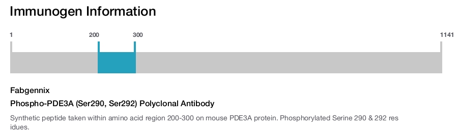 Phospho-PDE3A (Ser290, Ser292) Polyclonal Antibody