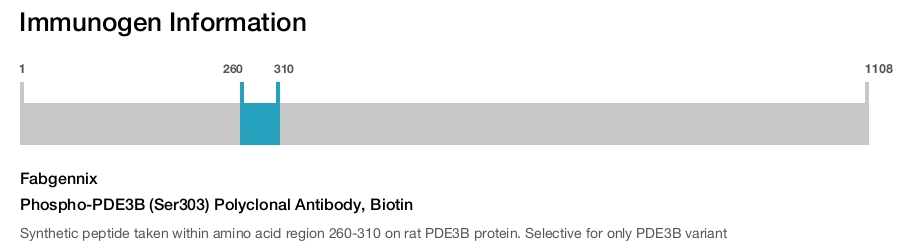 Phospho-PDE3B (Ser303) Polyclonal Antibody, Biotin