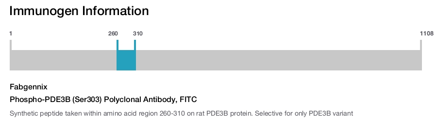 Phospho-PDE3B (Ser303) Polyclonal Antibody, FITC