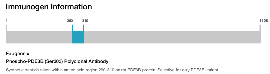 Phospho-PDE3B (Ser303) Polyclonal Antibody