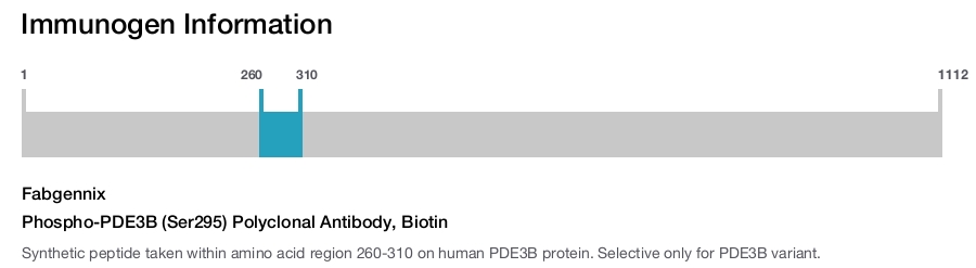 Phospho-PDE3B (Ser295) Polyclonal Antibody, Biotin
