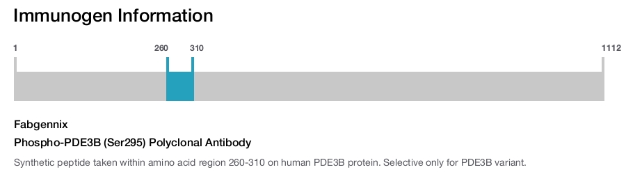 Phospho-PDE3B (Ser295) Polyclonal Antibody