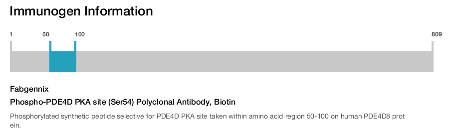 Phospho-PDE4D PKA site (Ser54) Polyclonal Antibody, Biotin