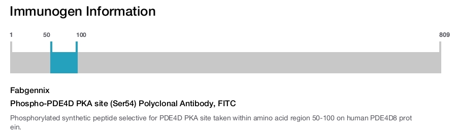 Phospho-PDE4D PKA site (Ser54) Polyclonal Antibody, FITC
