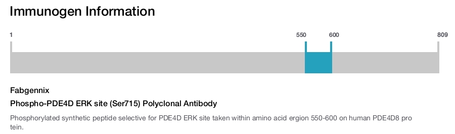 Phospho-PDE4D ERK site (Ser715) Polyclonal Antibody