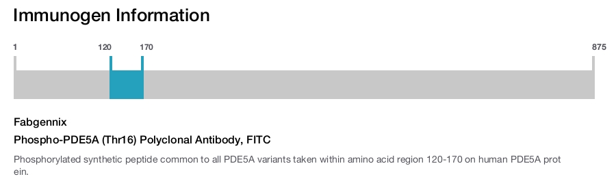 Phospho-PDE5A (Thr16) Polyclonal Antibody, FITC