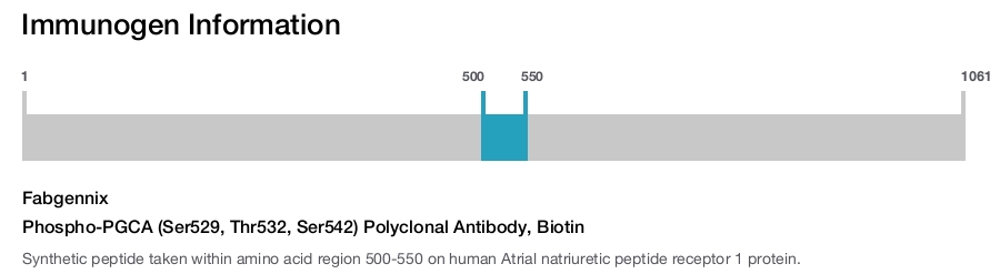 Phospho-PGCA (Ser529, Thr532, Ser542) Polyclonal Antibody, Biotin
