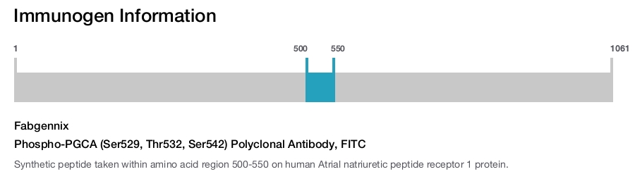 Phospho-PGCA (Ser529, Thr532, Ser542) Polyclonal Antibody, FITC
