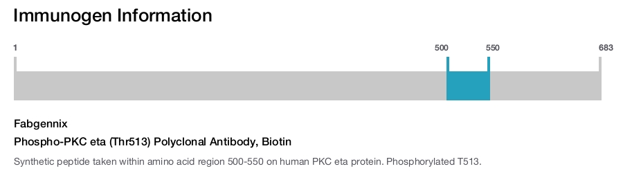Phospho-PKC eta (Thr513) Polyclonal Antibody, Biotin