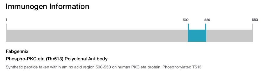 Phospho-PKC eta (Thr513) Polyclonal Antibody