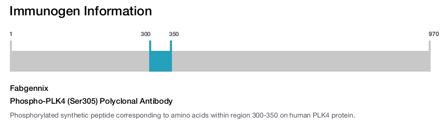 Phospho-PLK4 (Ser305) Polyclonal Antibody