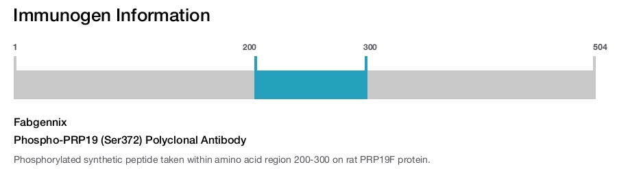 Phospho-PRP19 (Ser372) Polyclonal Antibody