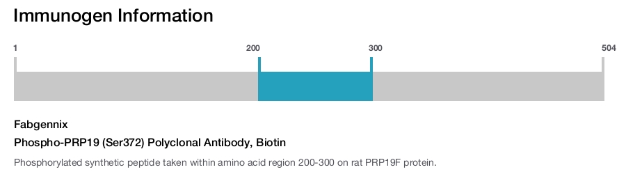 Phospho-PRP19 (Ser372) Polyclonal Antibody, Biotin