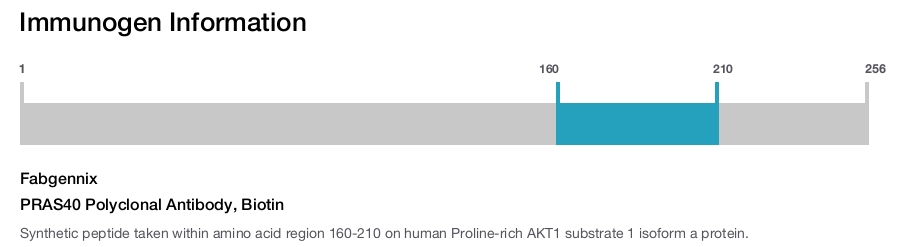 PRAS40 Polyclonal Antibody, Biotin