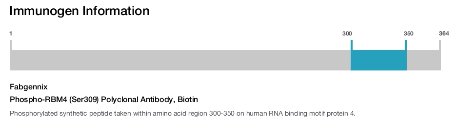 Phospho-RBM4 (Ser309) Polyclonal Antibody, Biotin