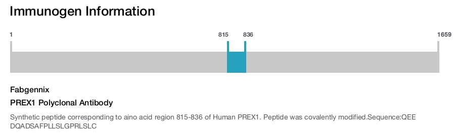 PREX1 Polyclonal Antibody