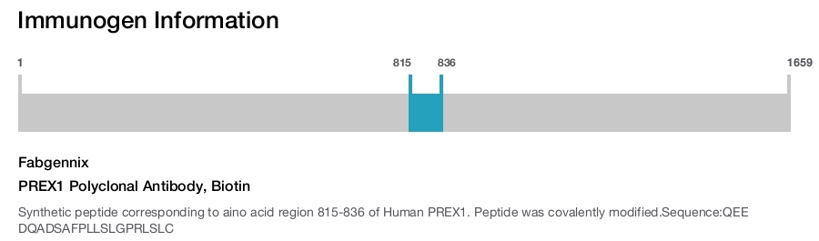 PREX1 Polyclonal Antibody, Biotin
