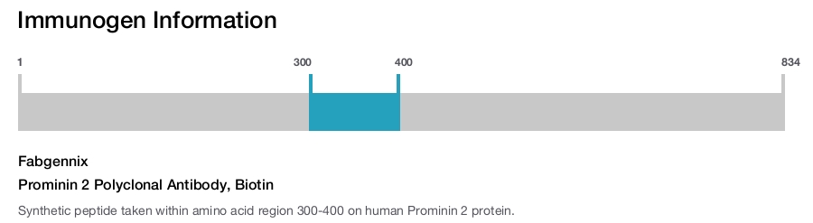 Prominin 2 Polyclonal Antibody, Biotin