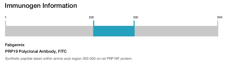 PRP19 Polyclonal Antibody, FITC