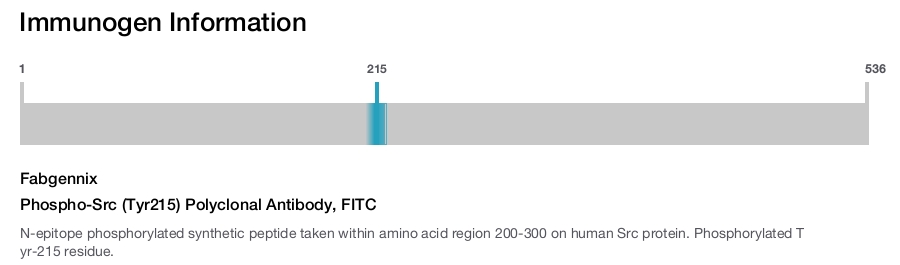 Phospho-Src (Tyr215) Polyclonal Antibody, FITC