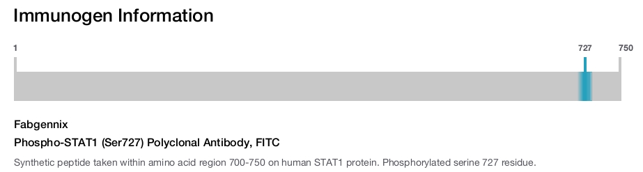 Phospho-STAT1 (Ser727) Polyclonal Antibody, FITC