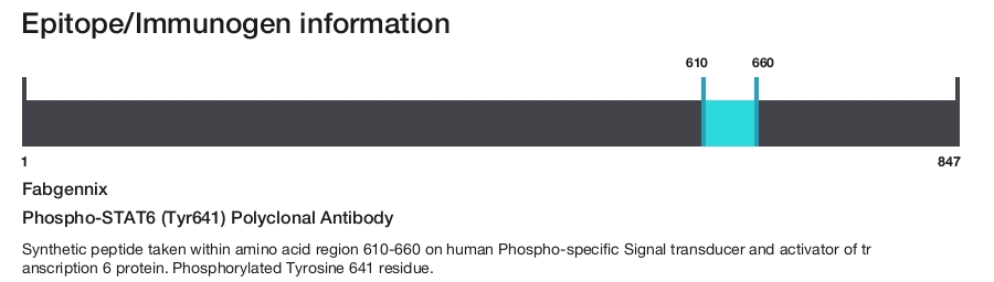 Phospho-STAT6 (Tyr641) Polyclonal Antibody