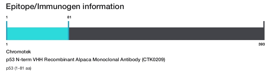 p53 N-term VHH Recombinant Alpaca Monoclonal Antibody (CTK0209)
