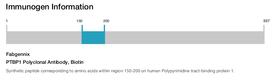 PTBP1 Polyclonal Antibody, Biotin