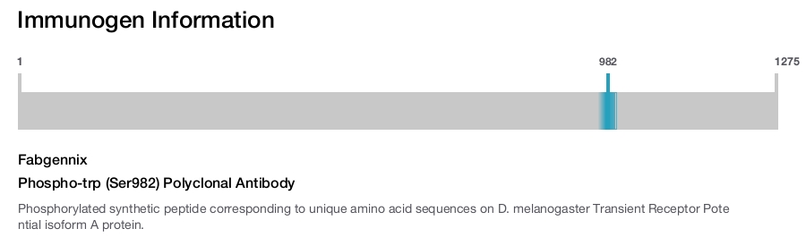 Phospho-trp (Ser982) Polyclonal Antibody